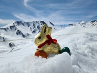 Pension Sonnenhof*** - 487440771 24149815187940501 8878914926826530630 N