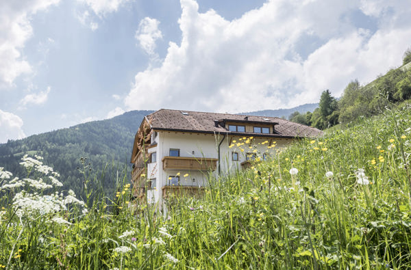 Hotel Onach** - Web 4071