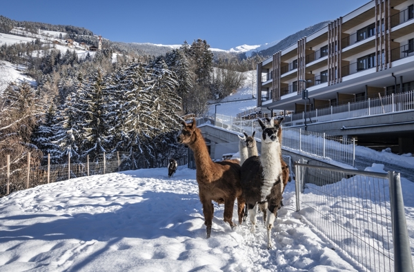 Hotel Torgglerhof ***S - Torgglerhof