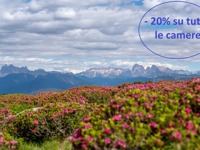 Sonnenhotel Adler Spa & Nature Adults only**** - Ital 20 Prozent Alpenrosenbluete Villanderer Alm